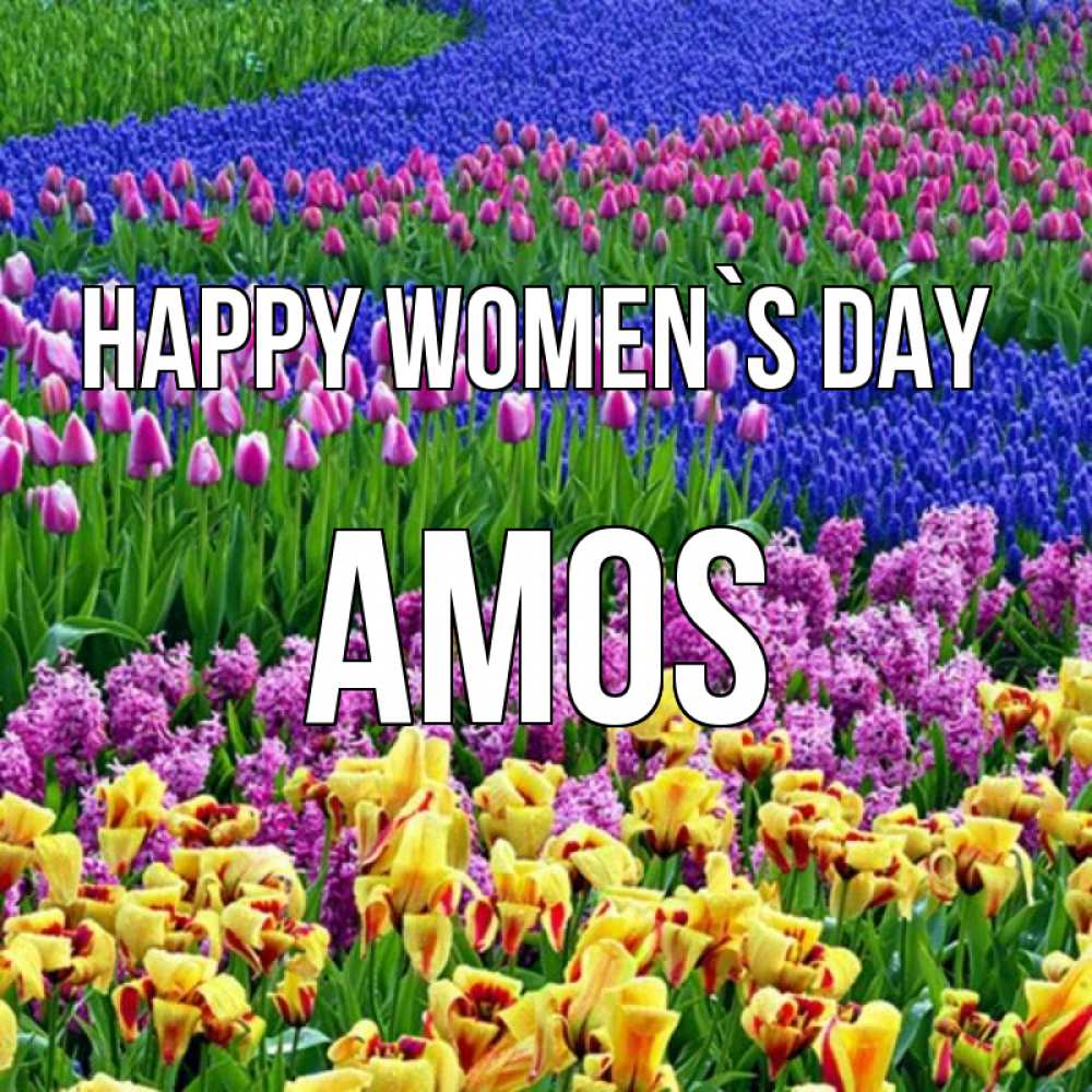 Greetings card с именем, Amos happy women`s day цветы Greetings with text for free download 